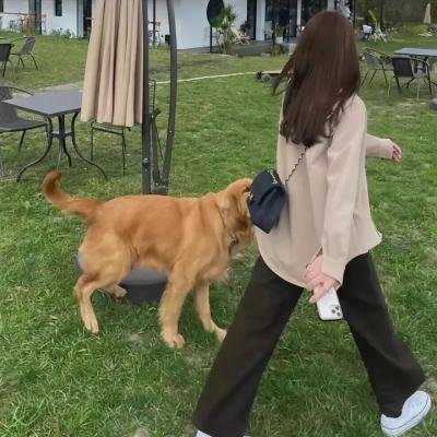 鬼娘子海报
